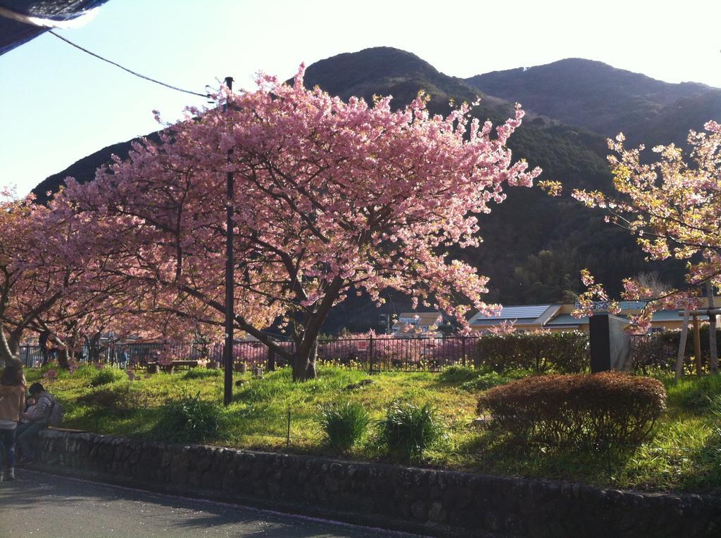 Hareya Shimoda (Shizuoka) Exterior foto