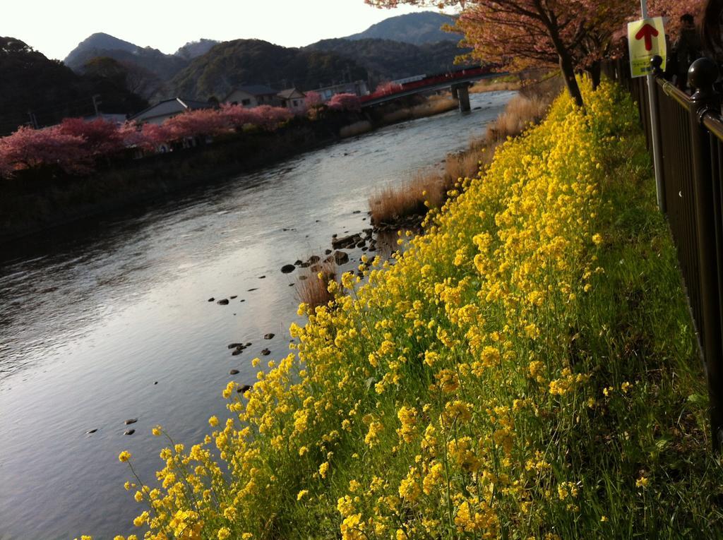Hareya Shimoda (Shizuoka) Exterior foto