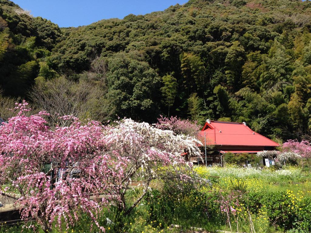 Hareya Shimoda (Shizuoka) Exterior foto