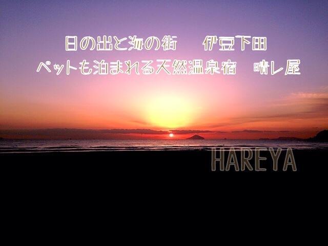 Hareya Shimoda (Shizuoka) Exterior foto